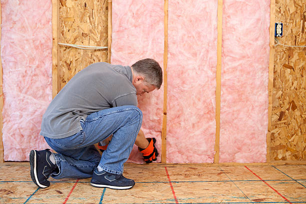 Best Insulation for Specific Applications in Tennessee Ridge, TN